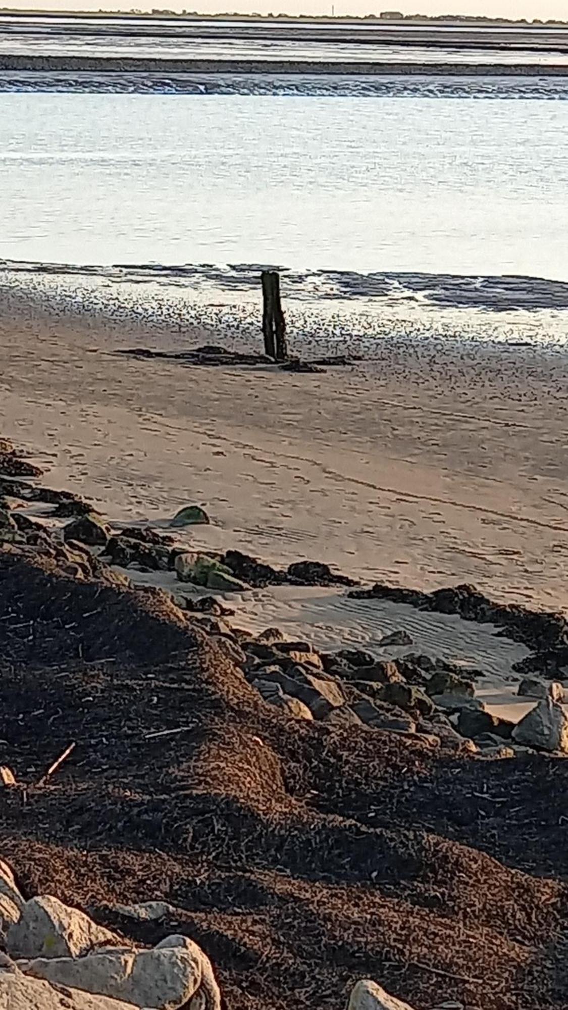 Appartamento Luettje Koje Breklum Esterno foto