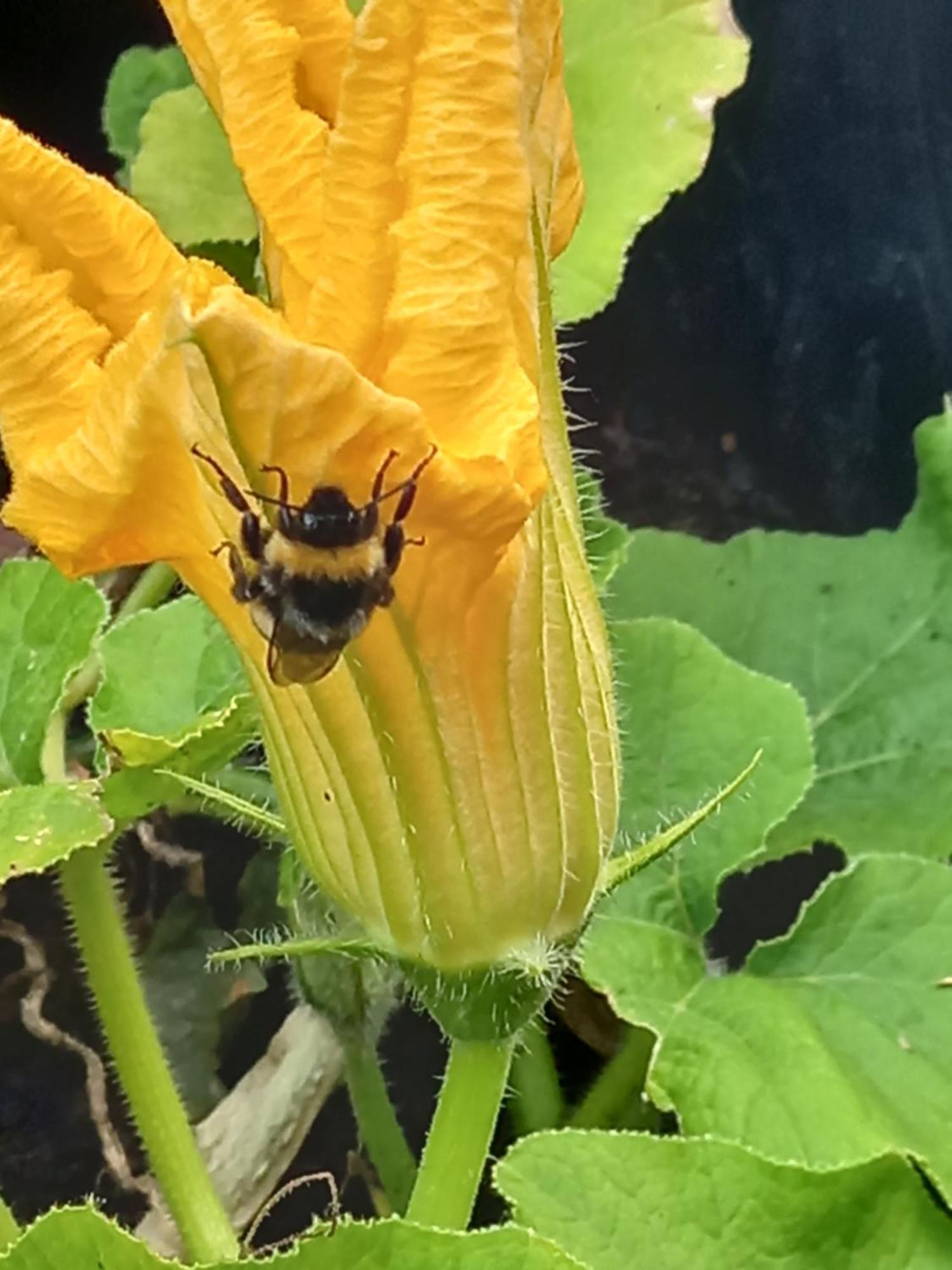 Appartamento Luettje Koje Breklum Esterno foto