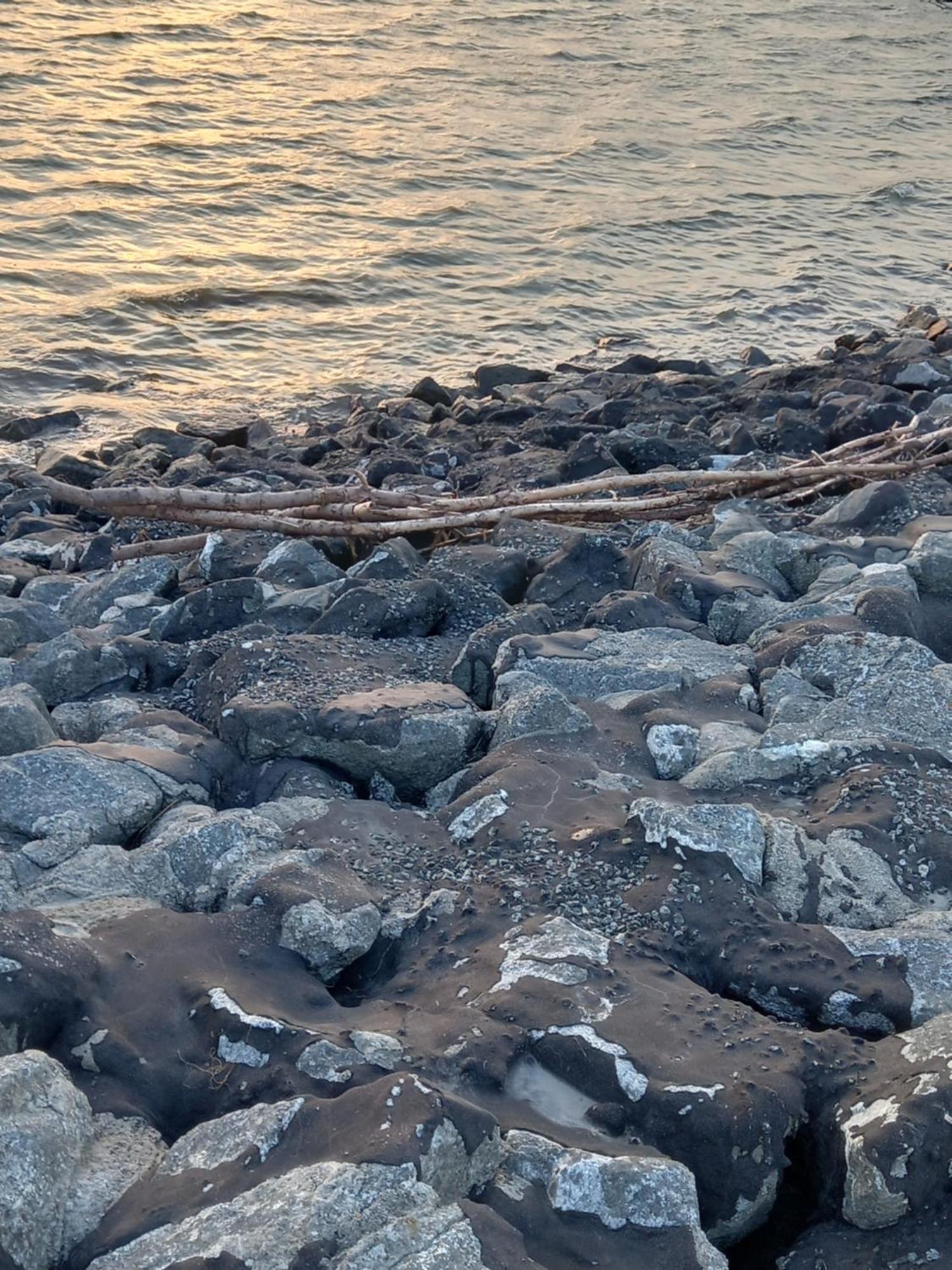 Appartamento Luettje Koje Breklum Esterno foto