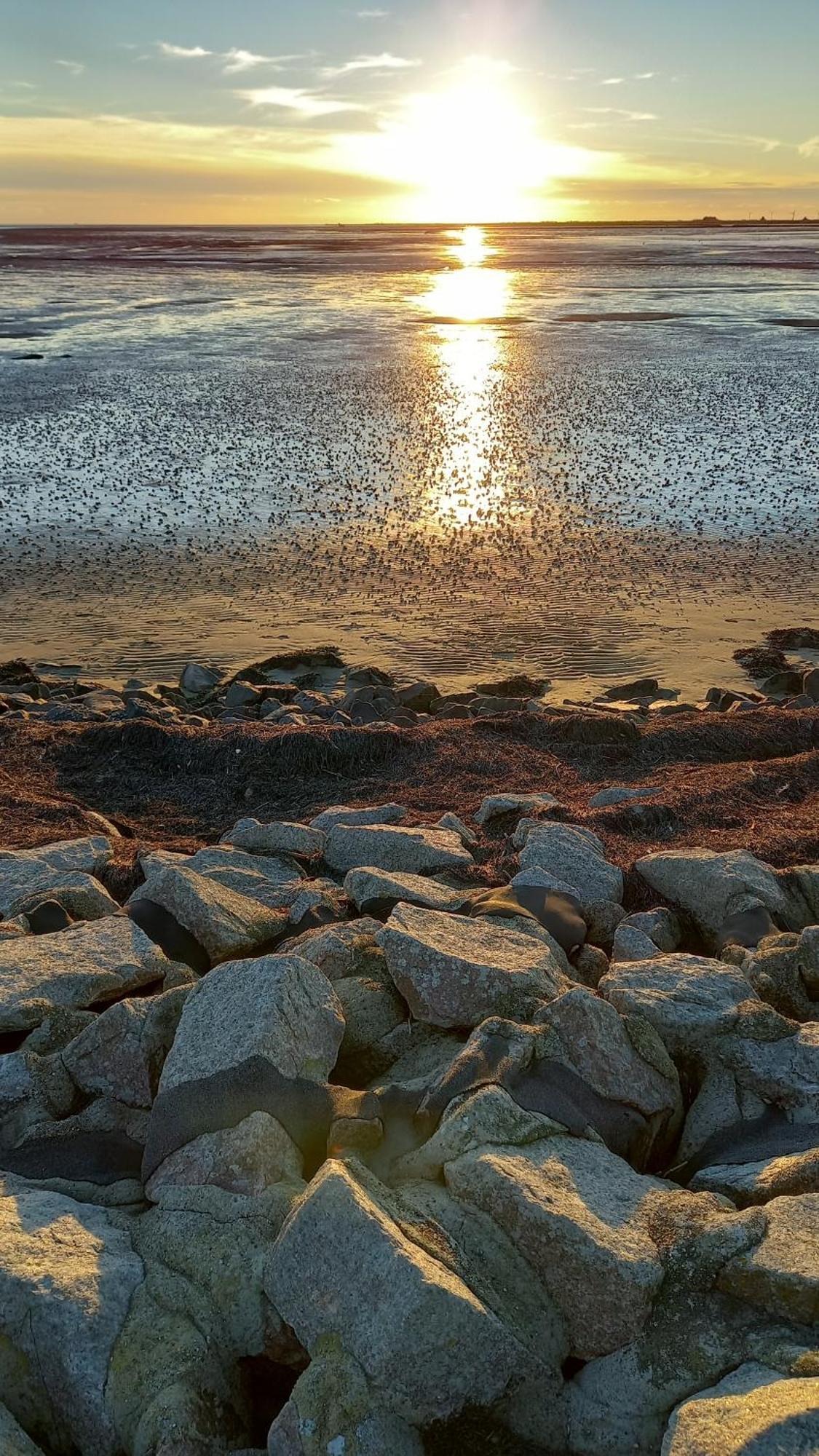 Appartamento Luettje Koje Breklum Esterno foto